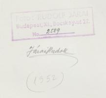 1952 Járai Rudolf (1913-1993): Sas. Vintage fotó, pecséttel jelzett, 24x18cm