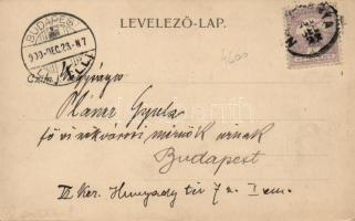 Nagybánya main square, shops