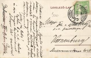 Dicsőszentmárton Rákóczi utca / street