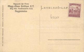 Nagytalmács, a Magyar-Olasz Erdőipar Rt. fűrésztelepe / sawmill interior