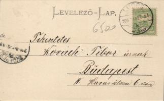 Lugos, county hall; flag, Art Nouveau