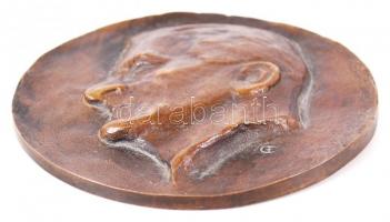Erdei Dezső (1902-1957): Horthy Miklós bronz plakett /
Bronze plaque 14 cm