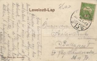 Élesd Erzsébet szálloda, Nagy Lajos vendéglős / hotel