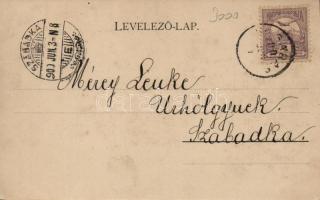 Fogaras Villa Dr. Hochmann