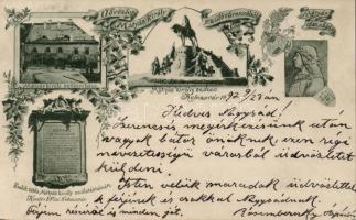 1897 Kolozsvár, floral