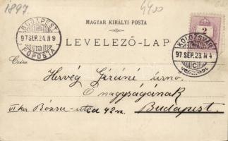 1897 Kolozsvár, floral