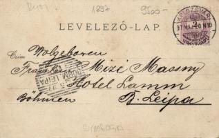 1897 Kolozsvár, synagogue, floral