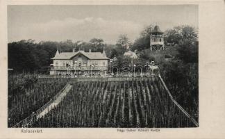 Kolozsvár Nagy Gábor Kőmáli kertje / mansion