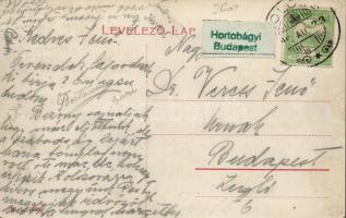 Kolozsfürdő Villa Veress