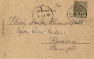 Segesvár, Art Nouveau