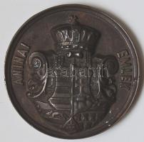 1901. "Aninai emlék-Tanítói Egyesület Stájerlakon" nagyalakú vastag domború bronz plakett T:2