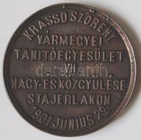 1901. "Aninai emlék-Tanítói Egyesület Stájerlakon" nagyalakú vastag domború bronz plakett ...