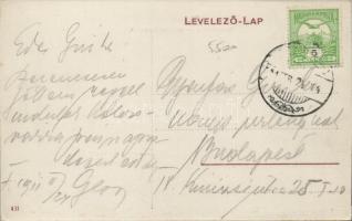 Fogaras Sterzing utca, Hermann gyógyszertár, Izsák Benő üzlete / street, Hermann's pharmacy, sh...