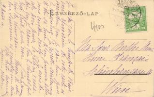 Szászrégen riverside