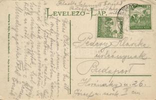 Bártfafürdő Berzeviczy-torony / tower