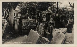 Praha Jewish cemetery, Judaica