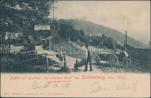 Vienna Kahlenberg Kaffee und Gasthaus zur eisernen Hand