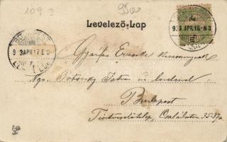 Sepsiszentgyörgy Art Nouveau litho (fl)