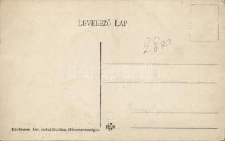 Máramarossziget Kossuth street, teacher training school