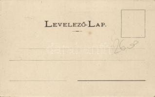 Máramarossziget the birth house of the actress Prielle Kornélia