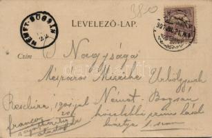 Resicabánya Trio mill with the finishing workshop, tin shack, floral (EB)