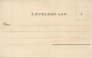 Budapest litho s: Raoul Frank