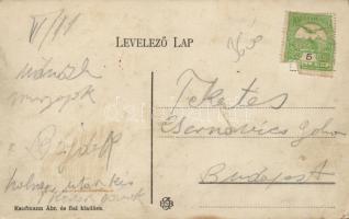 Máramarossziget Zóna szálloda / hotel (EK)