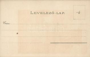 Budapest Lánchíd litho s: Raoul Frank