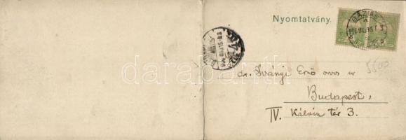 Resicabánya panoramacard