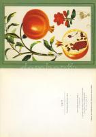 Sáná Tova üdvözlőlap az izraeli nagykövet aláírásával