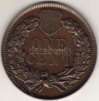 USA 1877. "One Cent" mintájára készült nagyalakú bronzplakett T:2