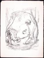 Derkovits Gyula (1894-1934): Pandamonium. 1920. teljes mappa, 12 lap, litográfia 300/248, előlapon s...