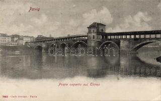 Pavia, Ticino river, bridge