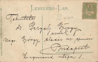 Máramarossziget, Judaica, butterfly