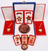 9db vegyes szocialista kitüntetés és emlékérem, közte: "Kiváló Dolgozó", "Szocialista Brigád" kitüntetések + 1982. "Budapesti Műszaki Egyetem  - Zempléni Géza" Br emlékplakett + 1938. "Pfeifer Ignác emlékérem" T:vegyes