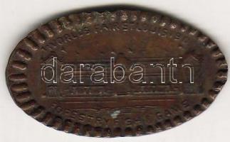 USA 1904. "St. Louis világkiállítás" látogatói által saját kezűleg vert bronz zseton R! T:...