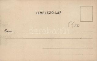 Beregszász county hall, the house of Károly Auer