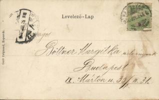 Kaposvár Korona utca, zászló, litho