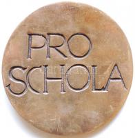 Váró Márton (1943-) DN "Tóth Árpád Gimnázium" Br emlékérem (85mm) T:2