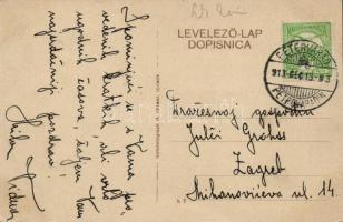 Donau-Flottille, battleships by Újvidék Pétervárad