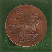 "Dr. Béres József" modern bronz plakett Szign:Bozó Gy., díszdobozban T:1