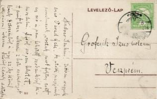 Biharfüred spa, academy (small tear)