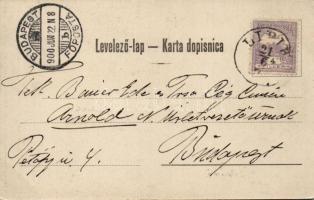 Lipikfürdő; Wlaszlovits Gusztáv kiadása / spa, floral