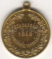 1895. "Újpesti Függetlenségi Kör" zseton T:2+