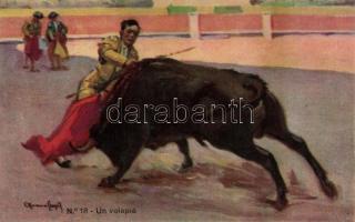 Bullfighting s: Carlos Ruano Llopis