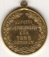 1895. "Újpesti Függetlenségi Kör" zseton T:2+