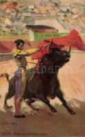 Bullfighting s: Carlos Ruano Llopis