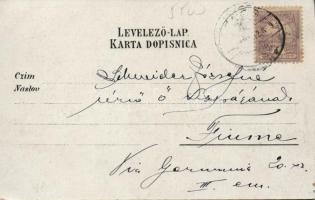 Senj, Zengg; Zvonimirov square, port, Mary beach, floral