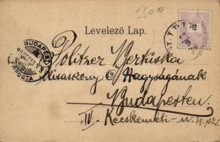 1899 Lipik Hotel Lifkay, railway station (EK)