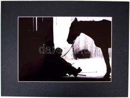 Szabó Márta (1966): Nyugalom. Digitális felvétel. Lambda print, paszpartuzva, házul  jelzett, sorszámozott. Képméret 29x21 cm /  Szabó Márta (1966): Stillness. Digital lambda print. Signed, numbered. 29x21 cm